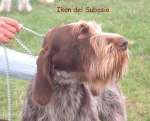 Dateiname=Ikon-DelSubasio.jpg
Dateigröße=61KB
Abmessungen: 600x484
hinzugefügt am: 14. September 2009 Ikon-DelSubasio.jpg