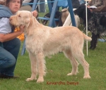 Dateiname=K Denys.jpg
Dateigröße=70KB
Abmessungen: 600x513
hinzugefügt am: 14. September 2009 K Denys.jpg