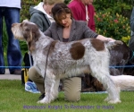 Filename=M-KnightToRemember.jpg
Filesize=58KiB
Dimensions=600x503
Date added=Sep 14, 2009 M-KnightToRemember.jpg