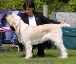 Filename=N-DixieChick.jpg
Filesize=51KiB
Dimensions=600x511
Date added=Sep 14, 2009 N-DixieChick.jpg