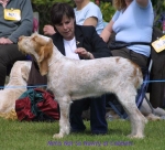 Filename=N-NotSoNawty.jpg
Filesize=55KiB
Dimensions=600x544
Date added=Sep 14, 2009 N-NotSoNawty.jpg