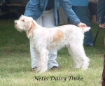 Nom du fichier=N-DaisyDuke.jpg
Taille du fichier=67Ko
Dimensions : 598x492
Ajouté le : 16 Septembre 2009 N-DaisyDuke.jpg