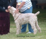 Nom du fichier=S-SanSisto.jpg
Taille du fichier=84Ko
Dimensions : 712x609
Ajouté le : 16 Septembre 2009 S-SanSisto.jpg