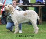 Filename=B-Daydream.jpg
Filesize=90KiB
Dimensions=700x608
Date added=Sep 16, 2009 B-Daydream.jpg