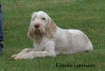 Filename=F-Lanfranco.jpg
Filesize=66KiB
Dimensions=700x473
Date added=Sep 16, 2009 F-Lanfranco.jpg