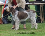 Filename=H-CaffeLatte.jpg
Filesize=92KiB
Dimensions=700x567
Date added=Sep 16, 2009 H-CaffeLatte.jpg