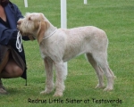 Filename=R-LittleSister.jpg
Filesize=80KiB
Dimensions=700x563
Date added=Sep 16, 2009 R-LittleSister.jpg