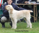 Filename=S-Nettezza.jpg
Filesize=83KiB
Dimensions=700x590
Date added=Sep 16, 2009 S-Nettezza.jpg
