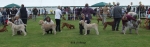 Filename=challenge5 copy.jpg
Filesize=149KiB
Dimensions=1974x630
Date added=Sep 16, 2009 challenge5 copy.jpg