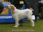 Filename=B-Alfetta.jpg
Filesize=75KiB
Dimensions=600x450
Date added=Sep 16, 2009 B-Alfetta.jpg