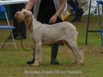 Filename=B-DreamOn.jpg
Filesize=78KiB
Dimensions=600x450
Date added=Sep 16, 2009 B-DreamOn.jpg