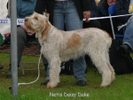 Filename=N-DaisyDuke.jpg
Filesize=77KiB
Dimensions=600x450
Date added=Sep 16, 2009 N-DaisyDuke.jpg