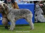 Filename=O-Jackaroo.jpg
Filesize=66KiB
Dimensions=600x450
Date added=Sep 16, 2009 O-Jackaroo.jpg