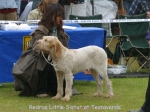 Filename=R-LittleSister.jpg
Filesize=72KiB
Dimensions=600x450
Date added=Sep 16, 2009 R-LittleSister.jpg