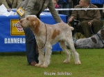 Filename=R-Schillaci.jpg
Filesize=69KiB
Dimensions=600x450
Date added=Sep 16, 2009 R-Schillaci.jpg