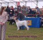 Filename=B-Alfetta.jpg
Filesize=48KiB
Dimensions=367x336
Date added=Sep 16, 2009 B-Alfetta.jpg