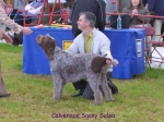 Filename=C-SassySalsa.jpg
Filesize=66KiB
Dimensions=600x450
Date added=Sep 16, 2009 C-SassySalsa.jpg