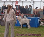 Filename=G-OfWhittamoors.jpg
Filesize=72KiB
Dimensions=373x315
Date added=Sep 16, 2009 G-OfWhittamoors.jpg