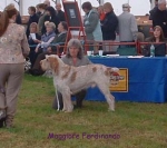 Dateiname=M-Ferdinando.jpg
Dateigröße=32KB
Abmessungen: 313x279
hinzugefügt am: 16. September 2009 M-Ferdinando.jpg