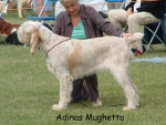 Filename=A-Mughetto.jpg
Filesize=130KiB
Dimensions=925x699
Date added=Sep 16, 2009 A-Mughetto.jpg