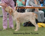 Filename=B-BornToLove.jpg
Filesize=103KiB
Dimensions=742x606
Date added=Sep 16, 2009 B-BornToLove.jpg