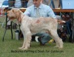 Filename=B-CuttingADash.jpg
Filesize=93KiB
Dimensions=745x579
Date added=Sep 16, 2009 B-CuttingADash.jpg