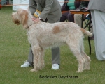 Filename=B-Daydream.jpg
Filesize=87KiB
Dimensions=739x600
Date added=Sep 16, 2009 B-Daydream.jpg