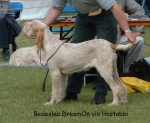 Filename=B-DreamOn.jpg
Filesize=90KiB
Dimensions=706x579
Date added=Sep 16, 2009 B-DreamOn.jpg