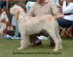 Filename=B-SweetDreams.jpg
Filesize=114KiB
Dimensions=904x714
Date added=Sep 16, 2009 B-SweetDreams.jpg