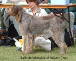 Filename=Bella-DelMongioie.jpg
Filesize=133KiB
Dimensions=925x747
Date added=Sep 16, 2009 Bella-DelMongioie.jpg