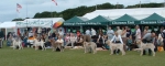 Filename=Dog Lineup.JPG
Filesize=107KiB
Dimensions=1183x480
Date added=Sep 16, 2009 Dog Lineup.JPG