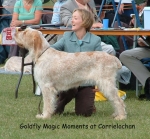 Filename=G-MagicMoments.jpg
Filesize=112KiB
Dimensions=715x666
Date added=Sep 16, 2009 G-MagicMoments.jpg
