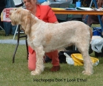 Filename=H-DonTLookEthel.jpg
Filesize=129KiB
Dimensions=913x768
Date added=Sep 16, 2009 H-DonTLookEthel.jpg