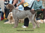 Filename=H-Maroschino.jpg
Filesize=151KiB
Dimensions=928x702
Date added=Sep 16, 2009 H-Maroschino.jpg