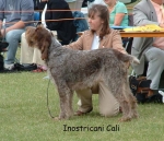 Filename=I-Cali.jpg
Filesize=106KiB
Dimensions=739x639
Date added=Sep 16, 2009 I-Cali.jpg