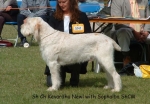 Filename=K-Newl.jpg
Filesize=100KiB
Dimensions=865x603
Date added=Sep 16, 2009 K-Newl.jpg