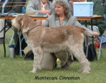 Filename=M-Cinnamon.jpg
Filesize=110KiB
Dimensions=793x621
Date added=Sep 16, 2009 M-Cinnamon.jpg