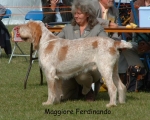 Filename=M-Ferdinando.jpg
Filesize=93KiB
Dimensions=790x633
Date added=Sep 16, 2009 M-Ferdinando.jpg