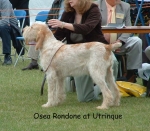 Filename=O-Rondone.jpg
Filesize=103KiB
Dimensions=739x648
Date added=Sep 16, 2009 O-Rondone.jpg