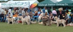 Filename=OB.jpg
Filesize=114KiB
Dimensions=1045x468
Date added=Sep 16, 2009 OB.jpg