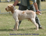 Filename=B-CuttingADash.jpg
Filesize=99KiB
Dimensions=700x550
Date added=Sep 16, 2009 B-CuttingADash.jpg