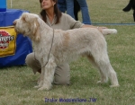Filename=I-Massimiliano.jpg
Filesize=82KiB
Dimensions=700x550
Date added=Sep 16, 2009 I-Massimiliano.jpg