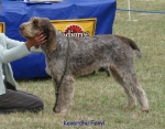 Filename=K-Fenyl.jpg
Filesize=85KiB
Dimensions=700x550
Date added=Sep 16, 2009 K-Fenyl.jpg