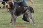 Filename=K-Heskin.jpg
Filesize=47KiB
Dimensions=600x400
Date added=Sep 16, 2009 K-Heskin.jpg