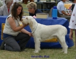 Filename=K-Myk.jpg
Filesize=71KiB
Dimensions=700x550
Date added=Sep 16, 2009 K-Myk.jpg