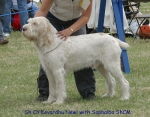 Filename=K-Newl2.jpg
Filesize=89KiB
Dimensions=700x550
Date added=Sep 16, 2009 K-Newl2.jpg