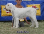 Filename=K-Safron.jpg
Filesize=75KiB
Dimensions=700x550
Date added=Sep 16, 2009 K-Safron.jpg