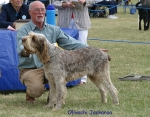 Filename=O-Jackaroo.jpg
Filesize=112KiB
Dimensions=700x550
Date added=Sep 16, 2009 O-Jackaroo.jpg