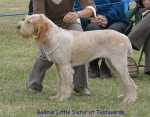 Filename=R-LittleSister.jpg
Filesize=109KiB
Dimensions=700x550
Date added=Sep 16, 2009 R-LittleSister.jpg