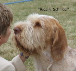Dateiname=R-Schillaci-1.jpg
Dateigröße=59KB
Abmessungen: 600x562
hinzugefügt am: 16. September 2009 R-Schillaci-1.jpg